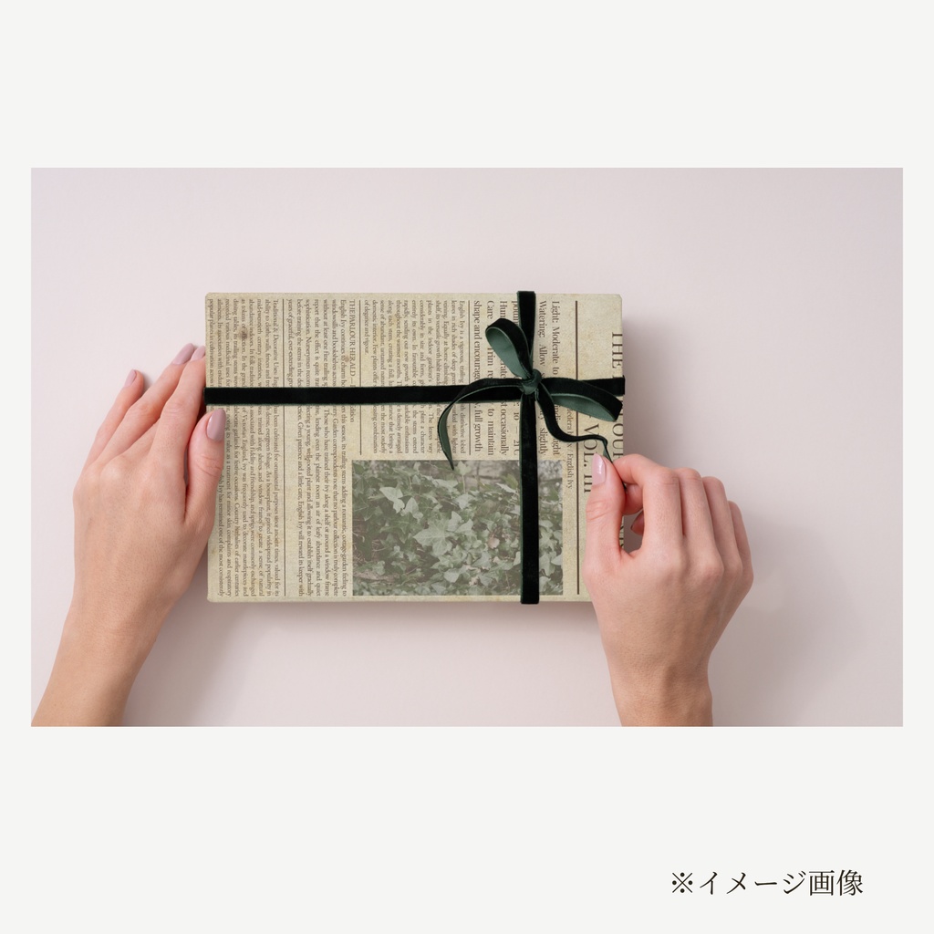 ラッピングペーパー アイビー3色セット