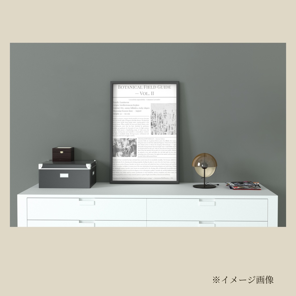 デザインペーパー Botanical Field Guide 3点セット【白背景】