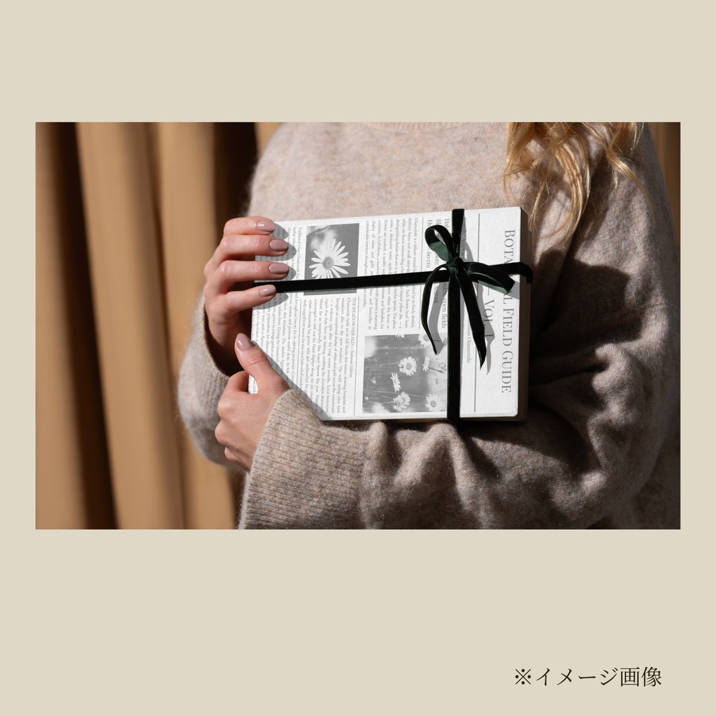 デザインペーパー Botanical Field Guide 3点セット【白背景】