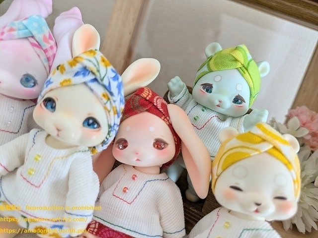 ヘアバンド+シャツセット(cocoriangサイズ)