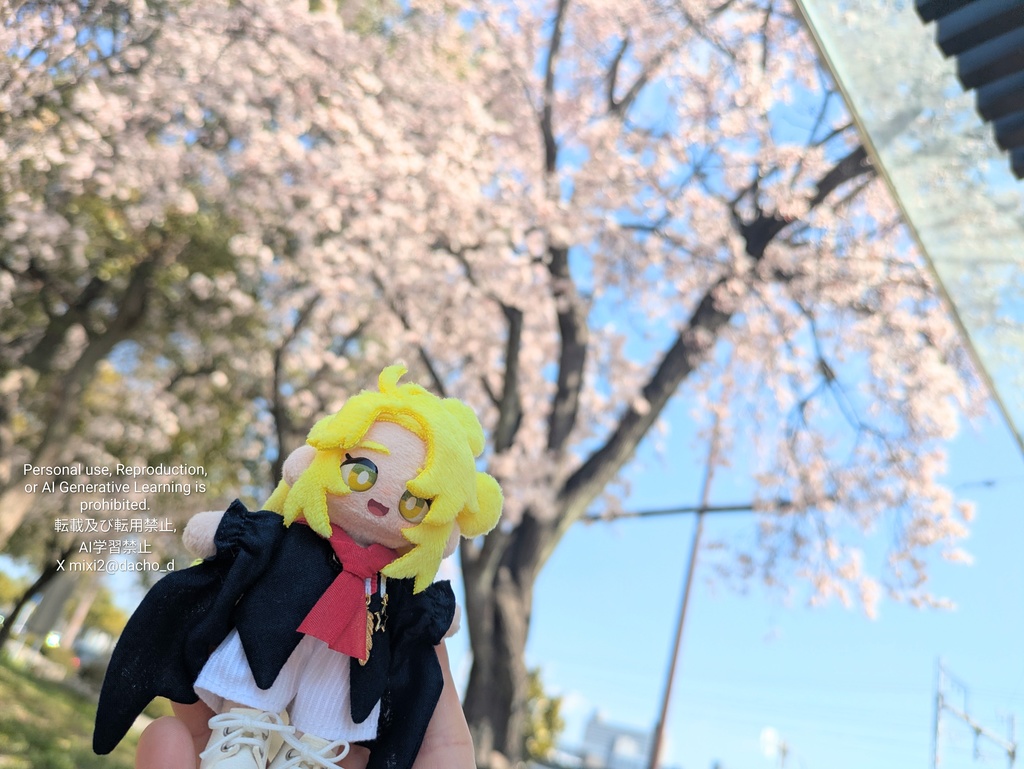 【品切れ】ツバメちゃんジャケット