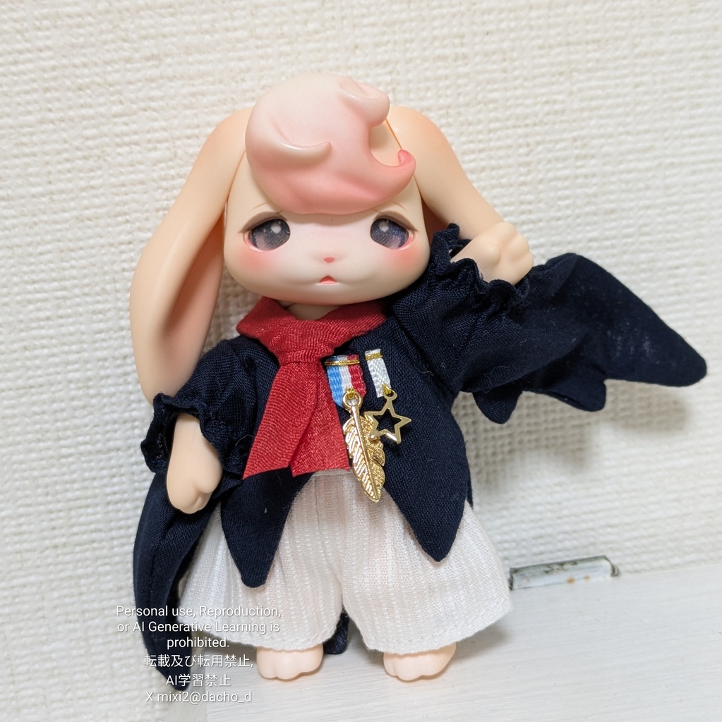 【品切れ】ツバメちゃんジャケット