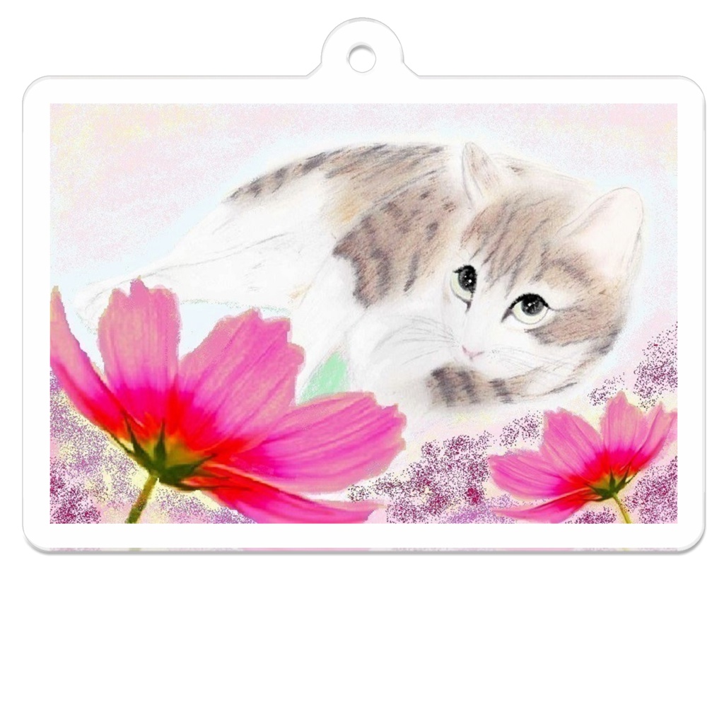 コスモスと猫