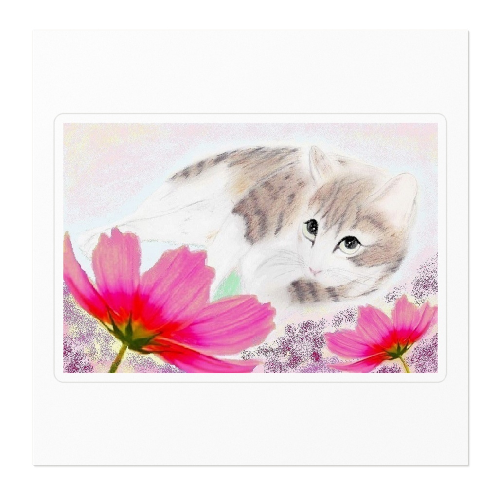 コスモスと猫