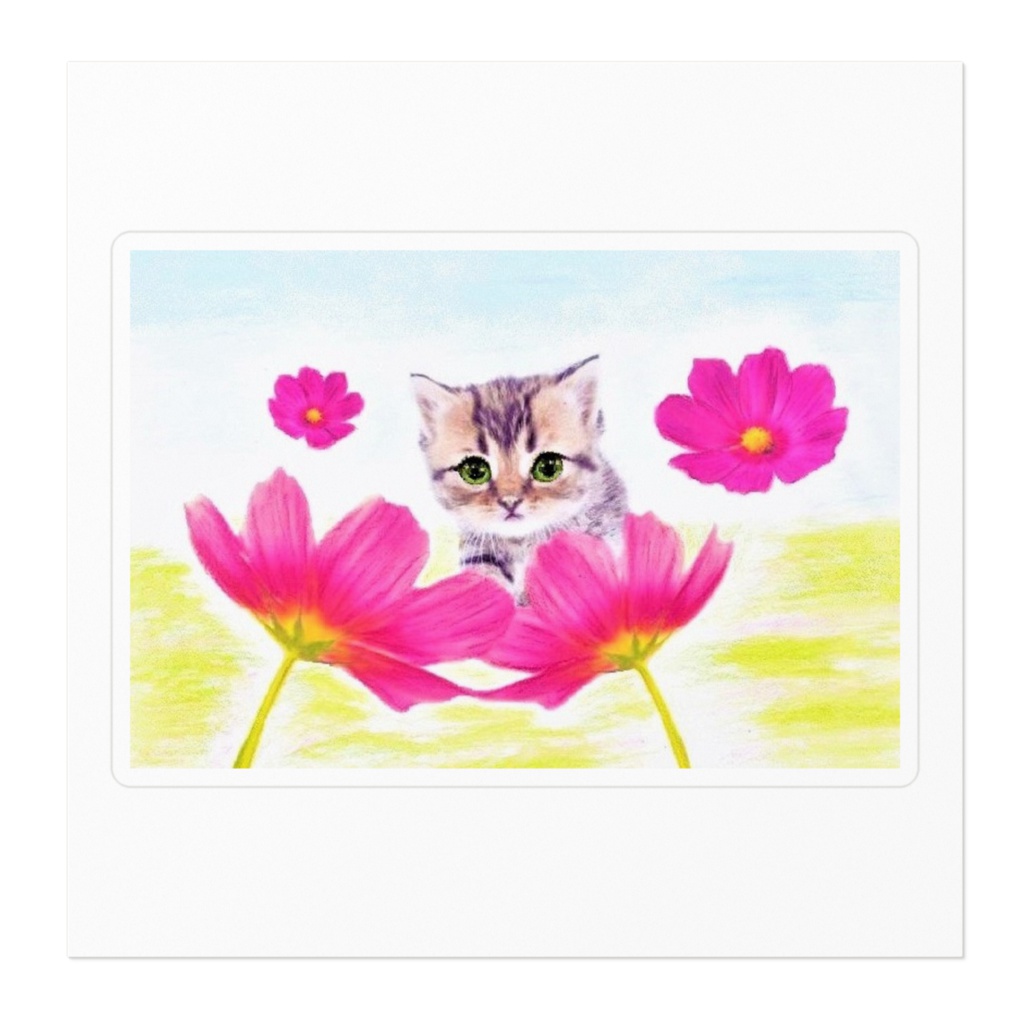 猫とコスモス(秋桜)