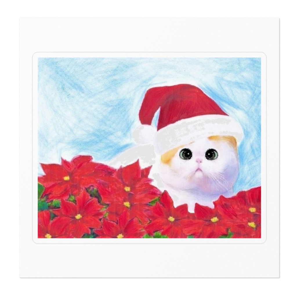 猫とポインセチア