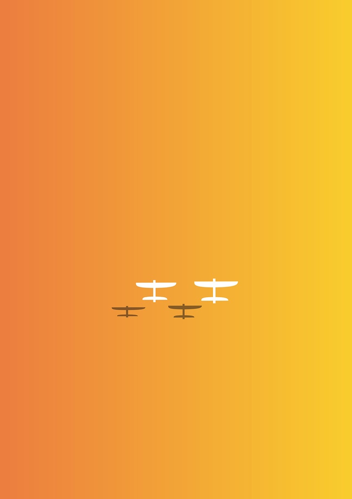 ランデヴーⅢ（夕陽の中の飛行機）。。