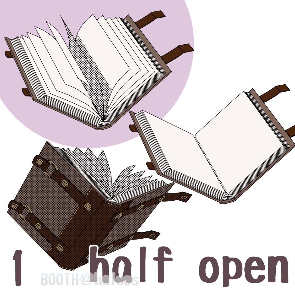 【3D】小物/ベルト付きの本(閉/開/半開)