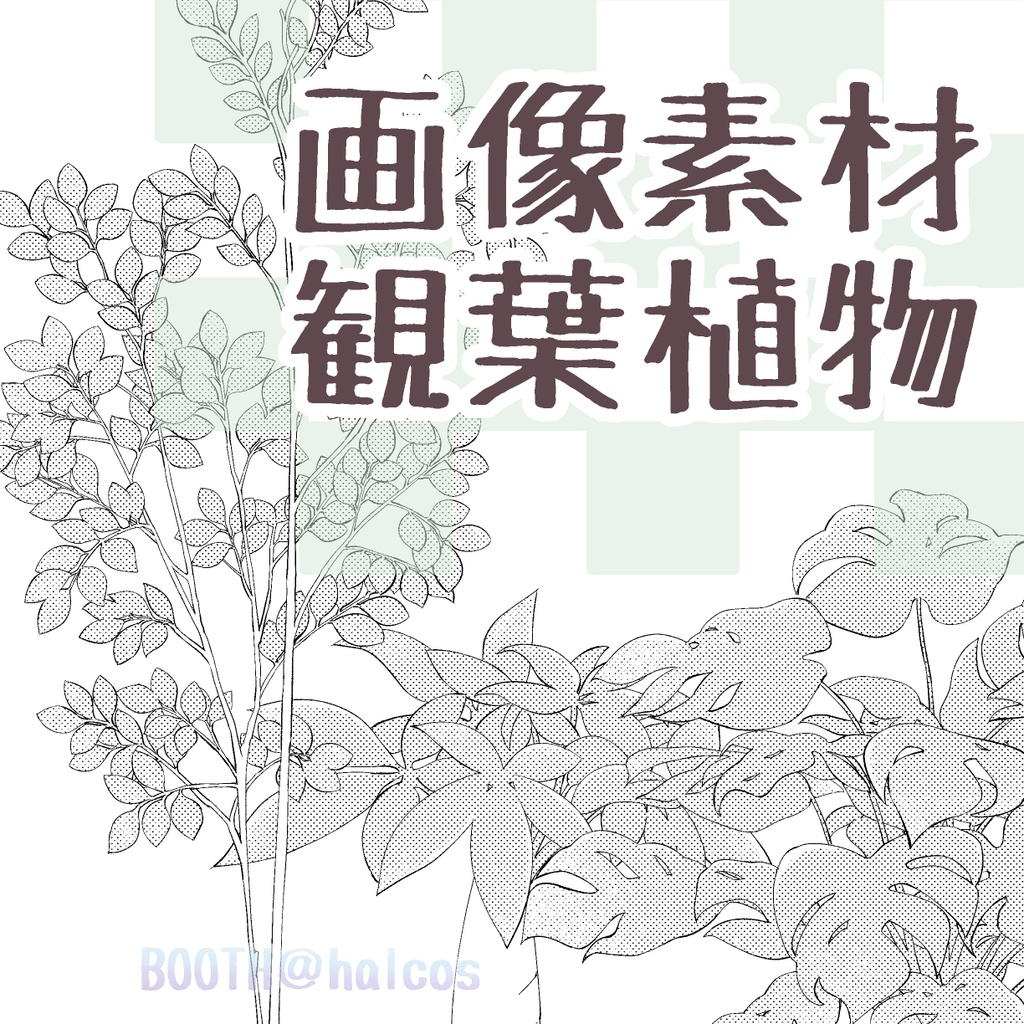 【画像素材】観葉植物(3種)