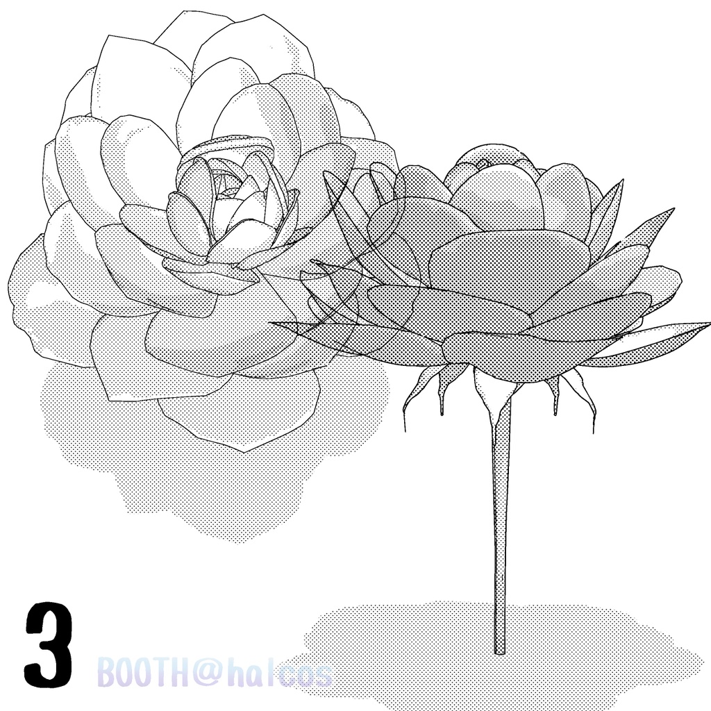 【3D】植物/薔薇(3種)