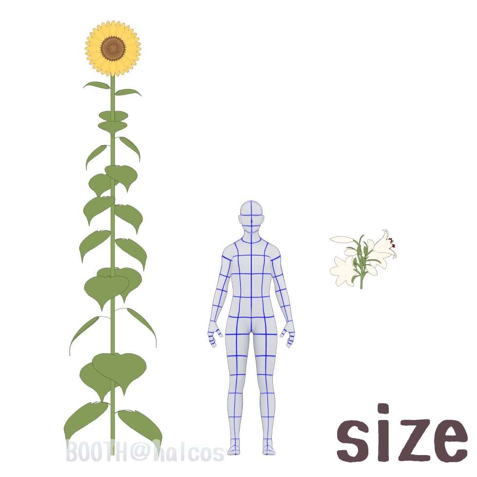【3D】植物/夏の花(2種)