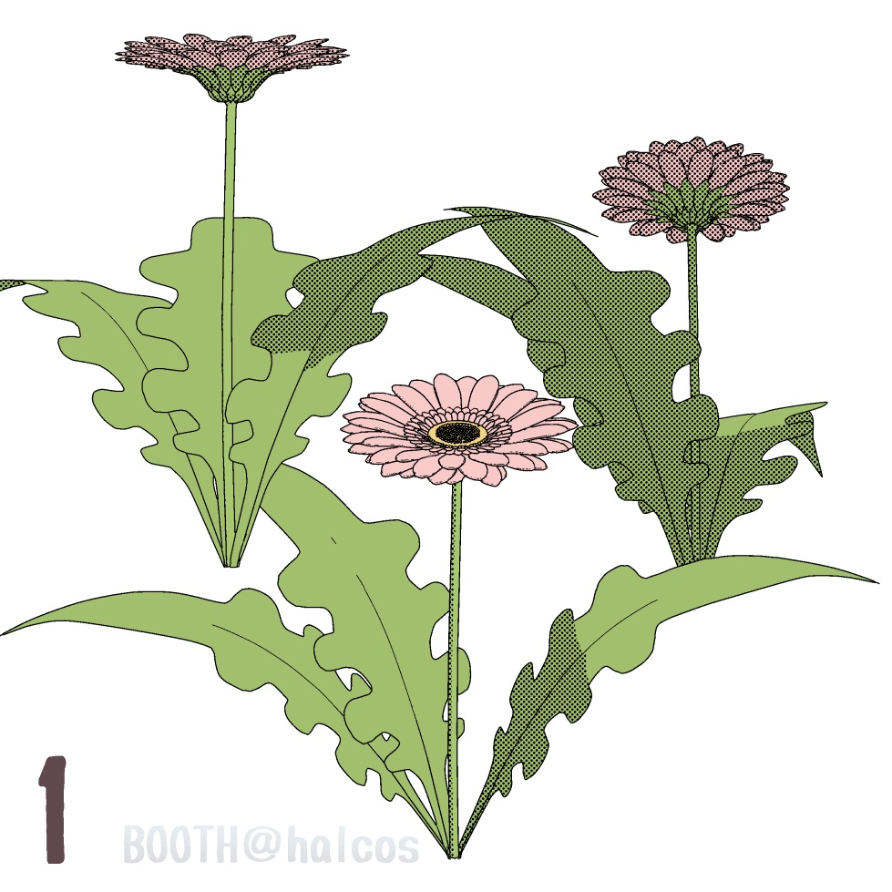 【3D】植物/秋の花