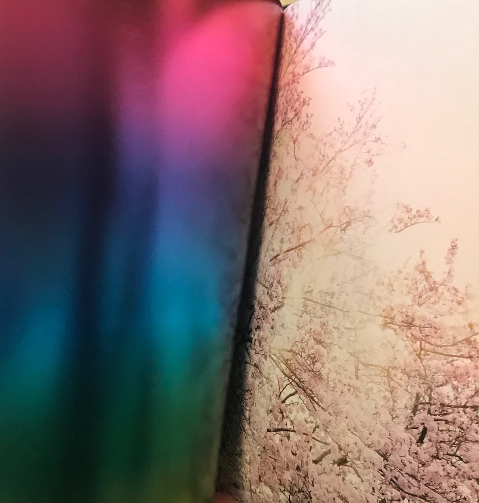 さくら さくら あふれる想い(あんしんBOOTHパック)