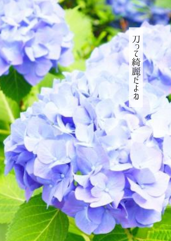 【無料】刀って綺麗だよね