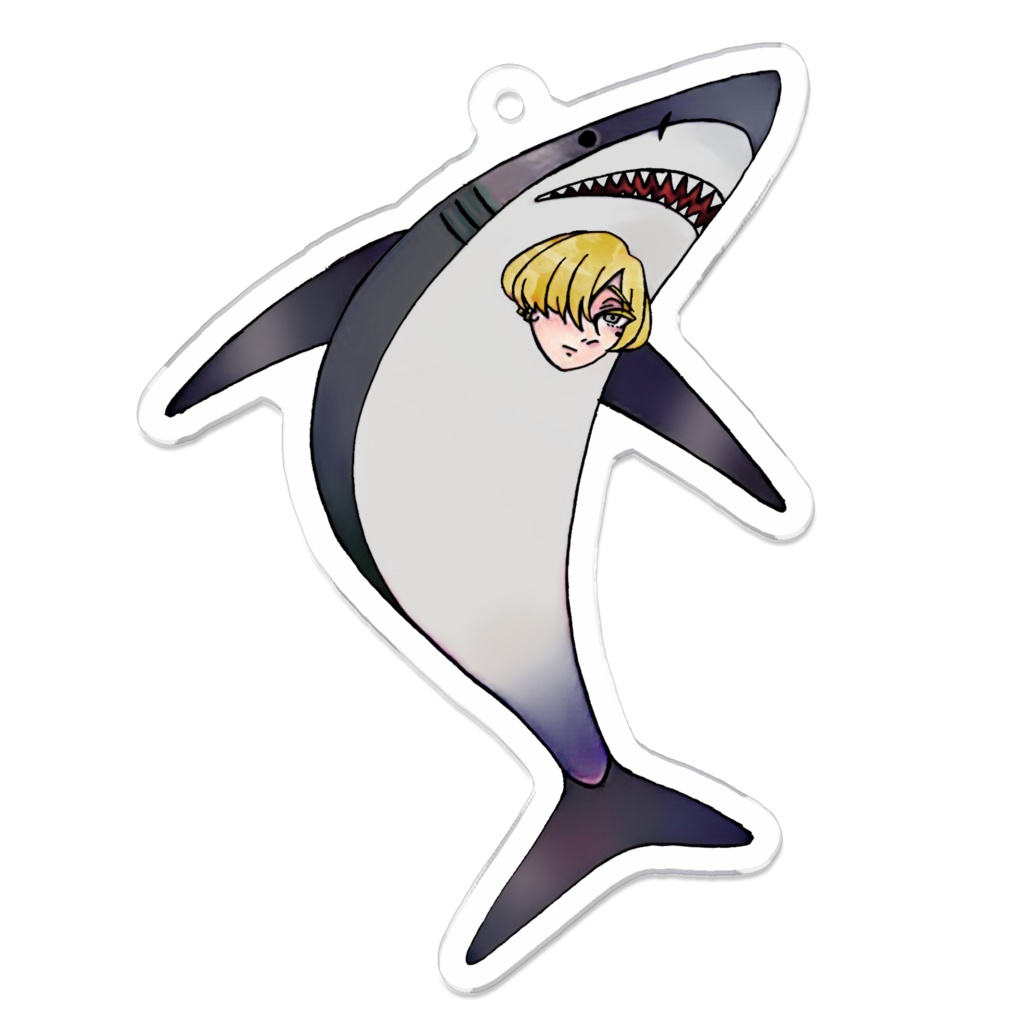 サメ一