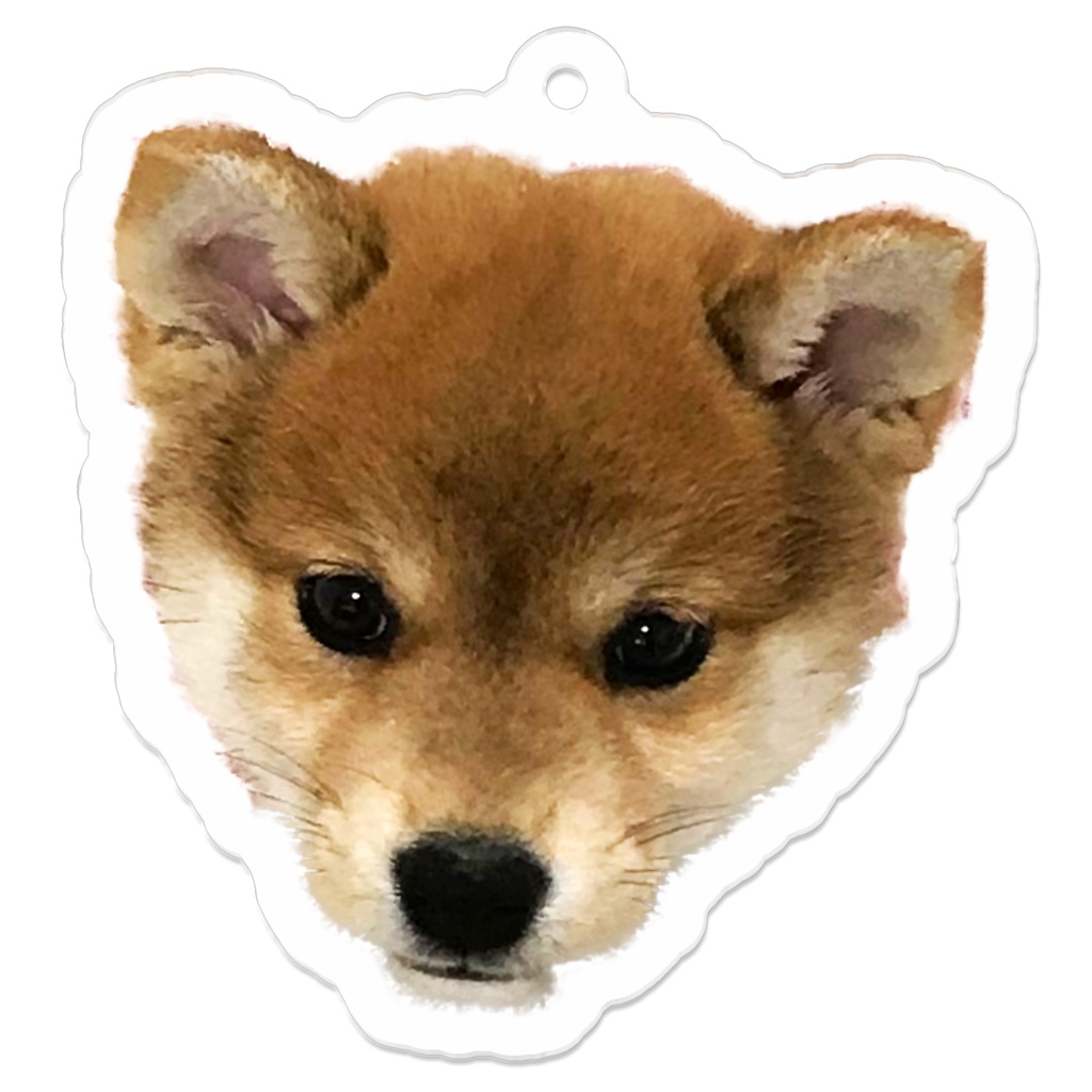 子犬