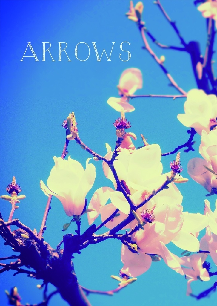 ARROWS
