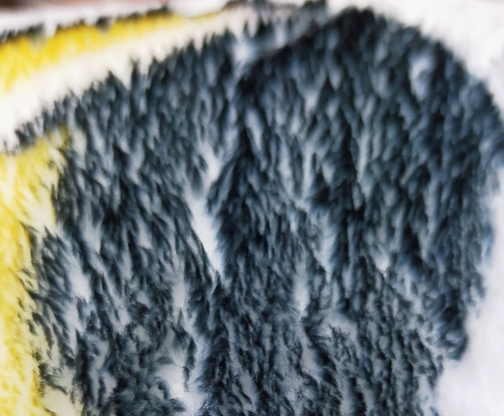 だっこしたまえ! ミヤコヒキガエルふかふかクッション