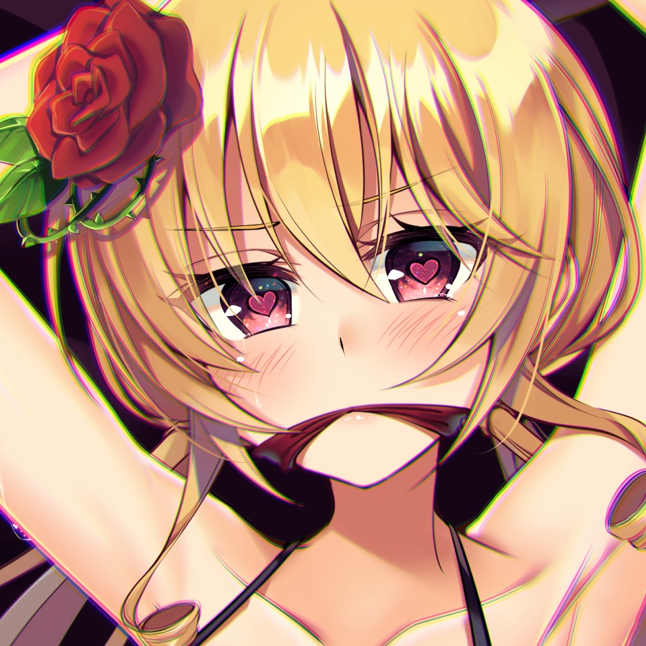 アンネリリーゼ 2周年記念抱き枕カバー