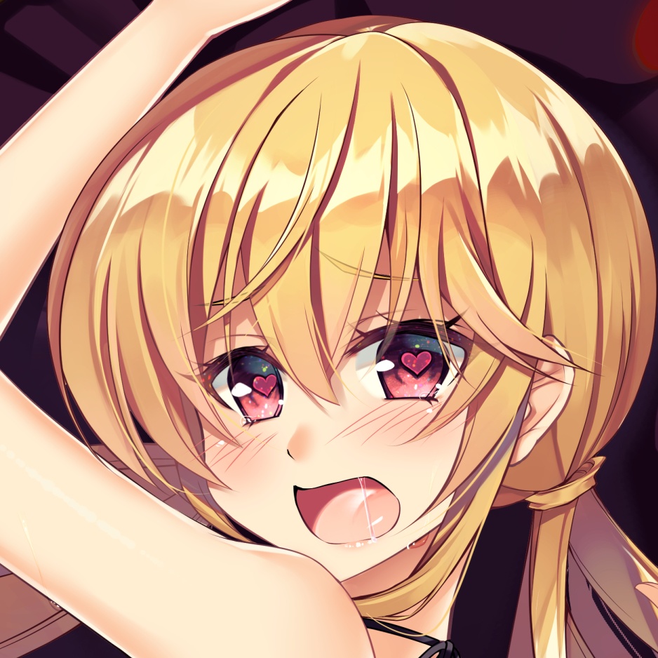 アンネリリーゼ 2周年記念抱き枕カバー