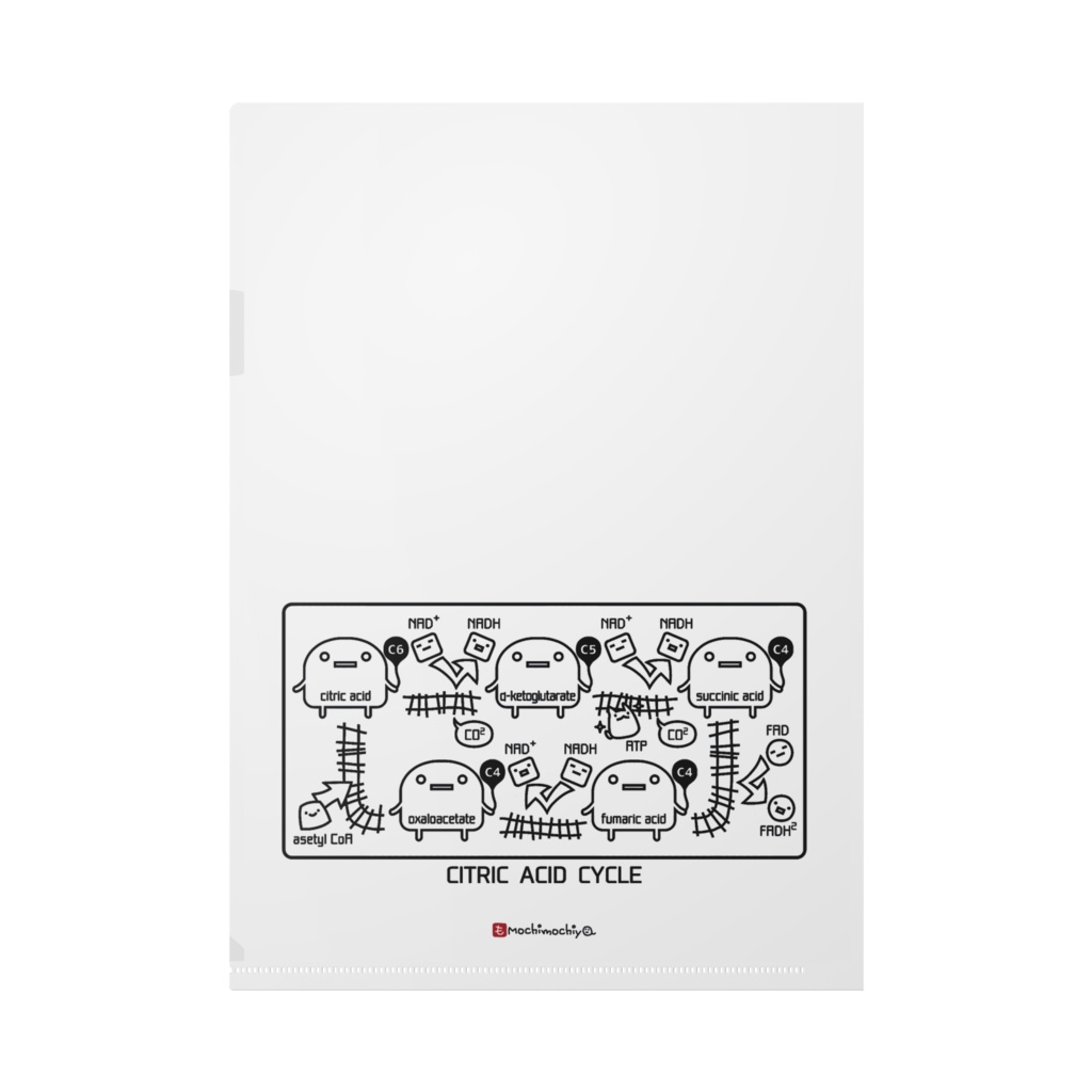 ミトコンドリア クリアファイル