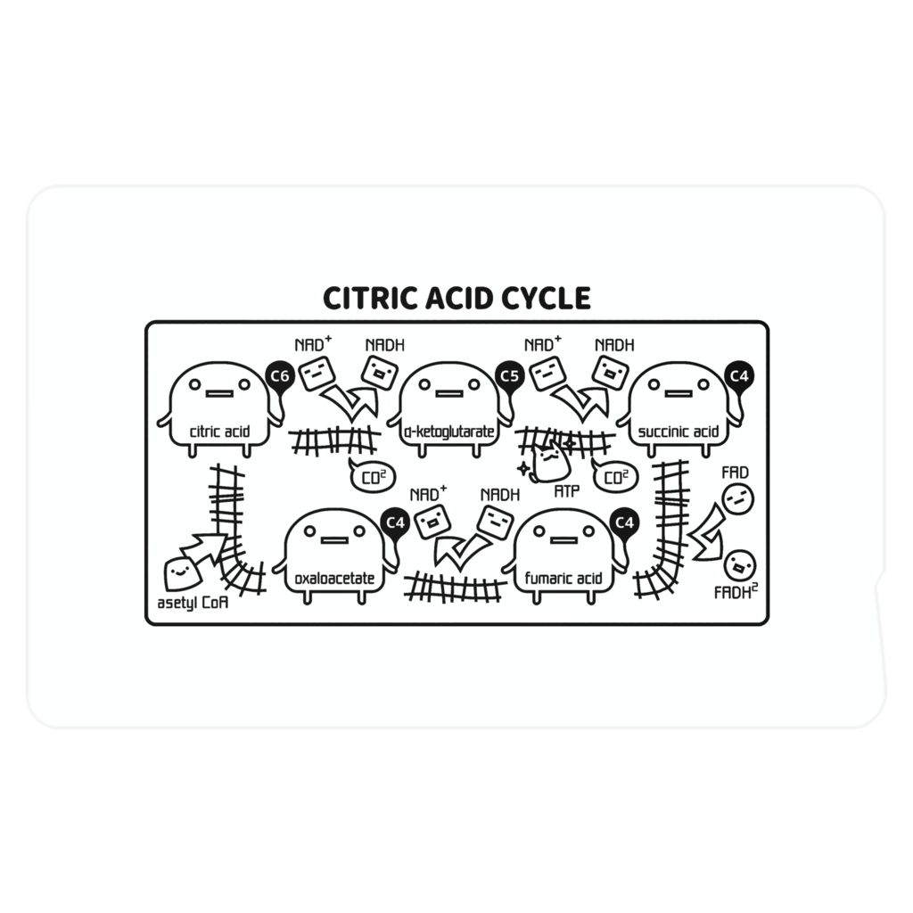 ミトコンドリア(白) ICカードステッカー