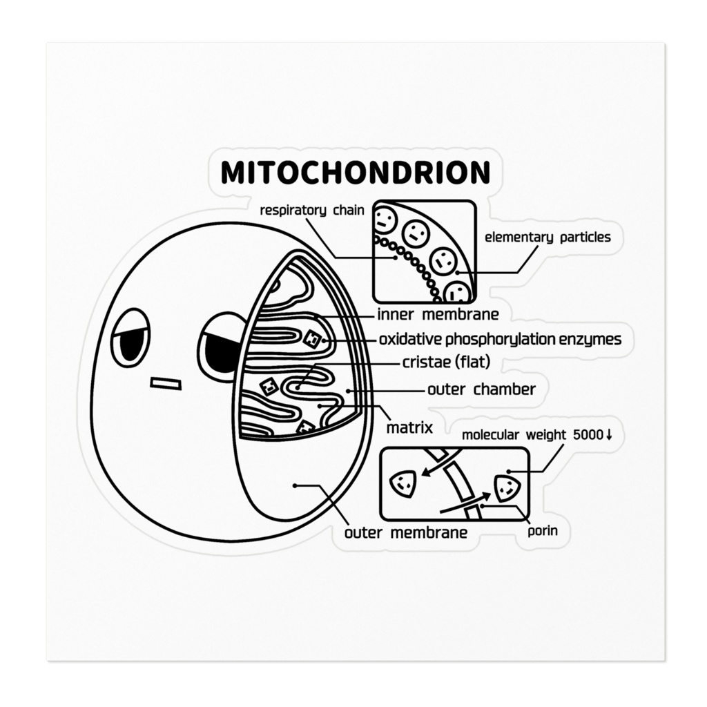 ミトコンドリア ステッカー