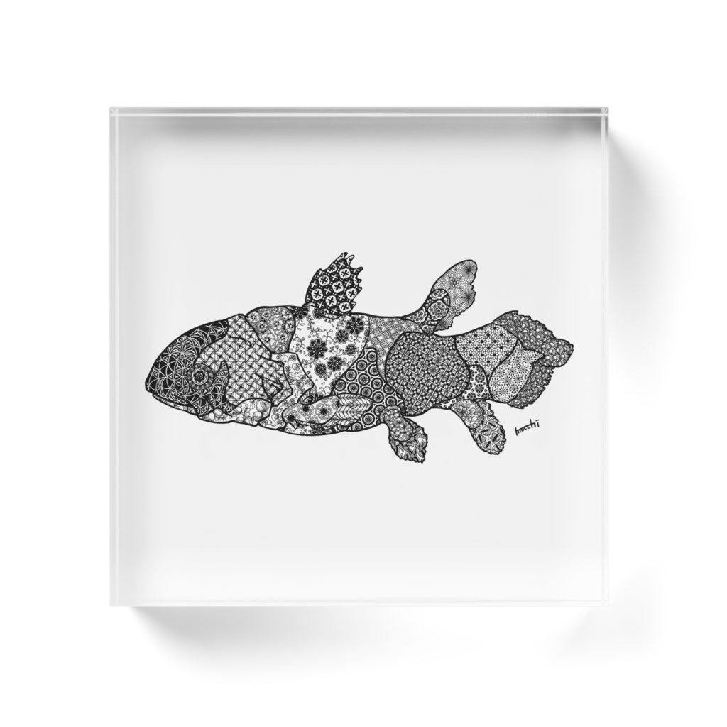 花とシーラカンス アクリルブロック