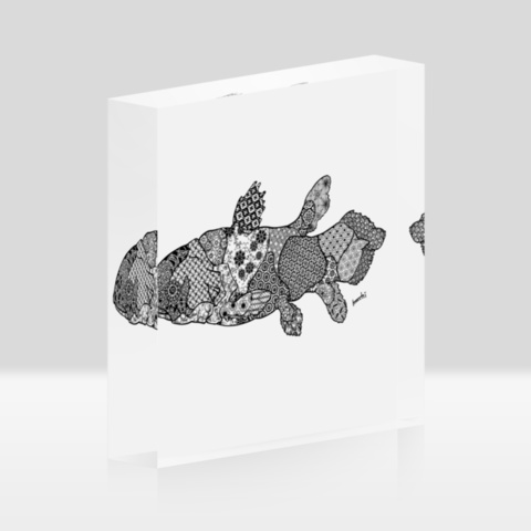 花とシーラカンス アクリルブロック