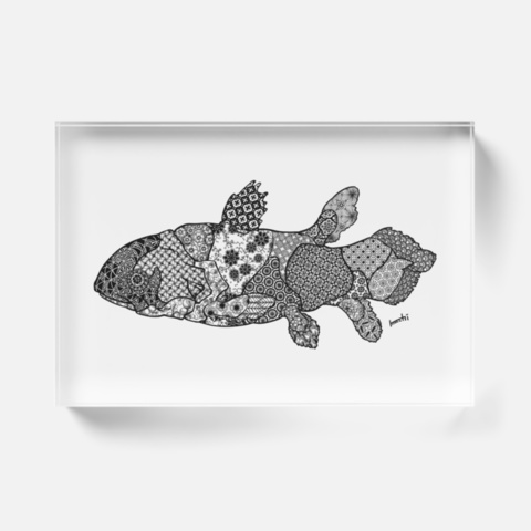 花とシーラカンス アクリルブロック