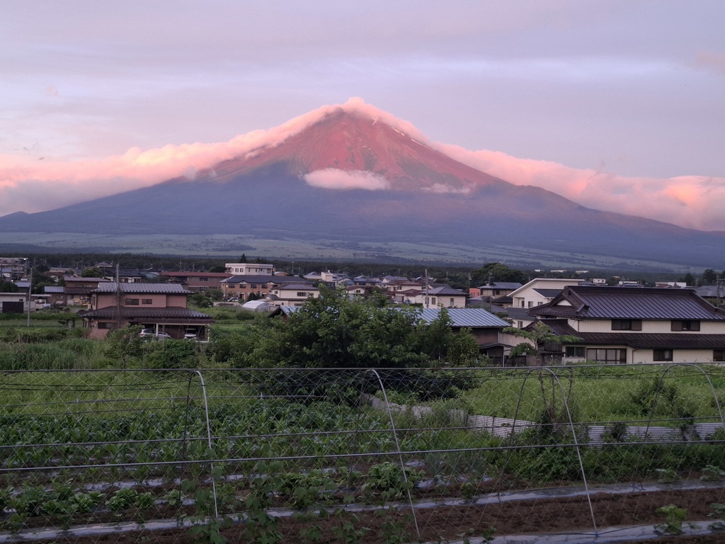 それでも生きる理由があった