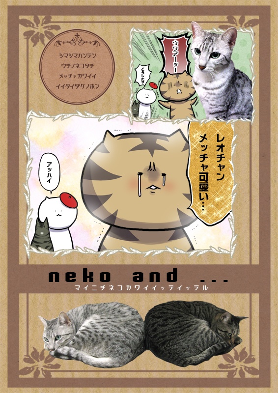 neko and ...　マイニチネコカワイイッテイッテル