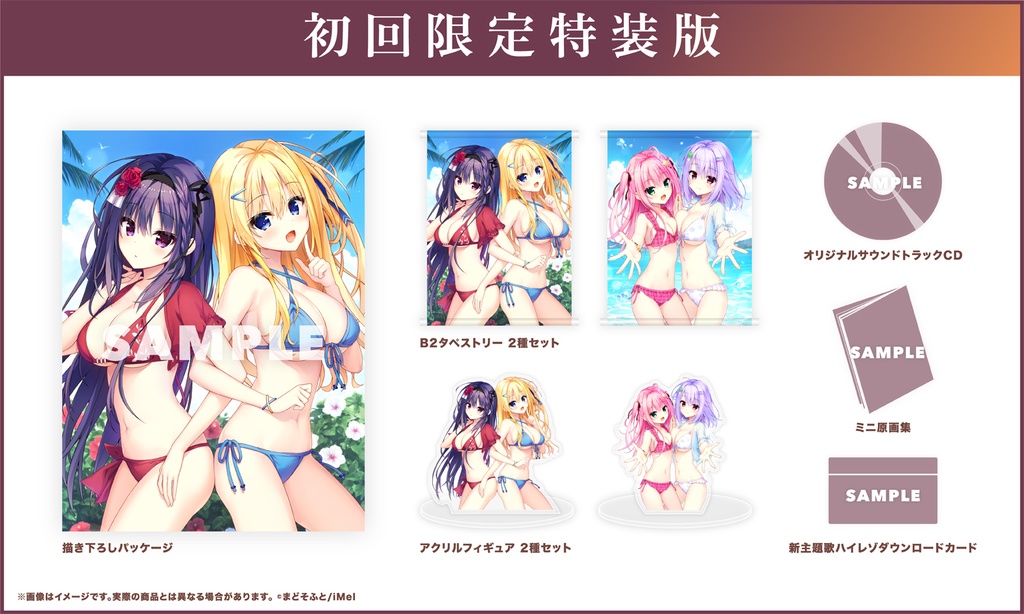 Nintendo Switch版『セレクトオブリージュ』初回限定特装版