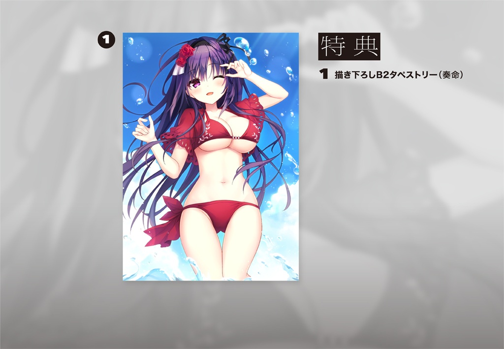 Nintendo Switch版『セレクトオブリージュ』通常版