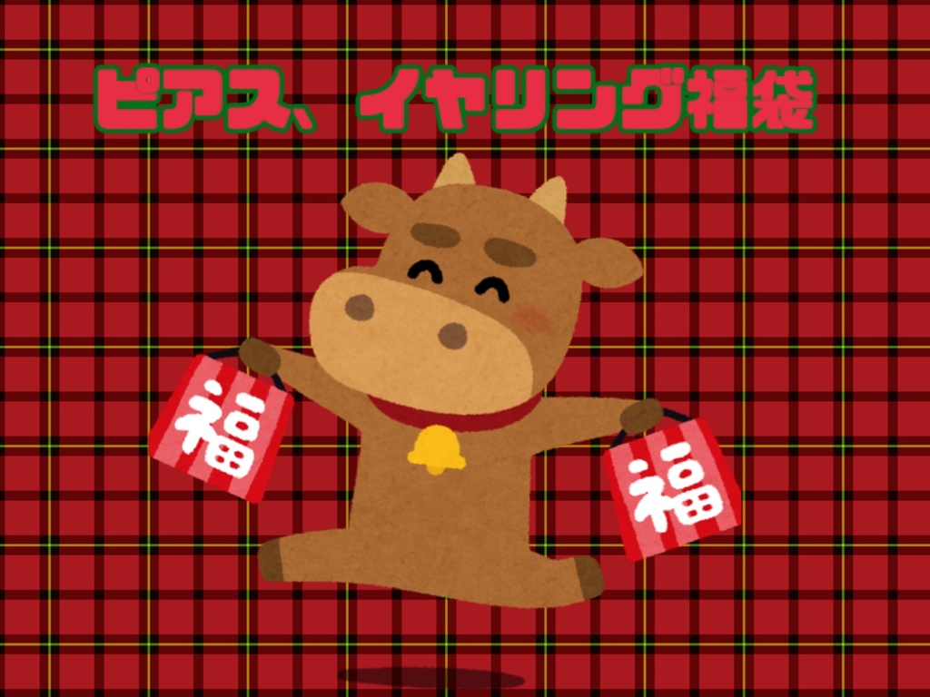 ピアス、イヤリング福袋