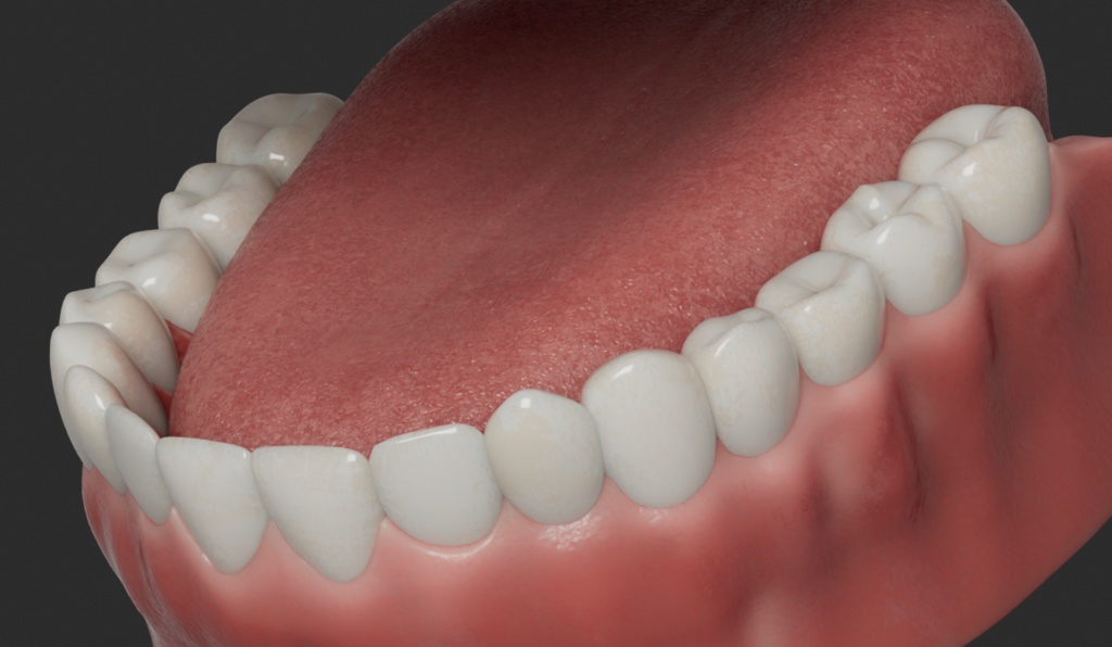 素体モデルデータ(女性)【商用】