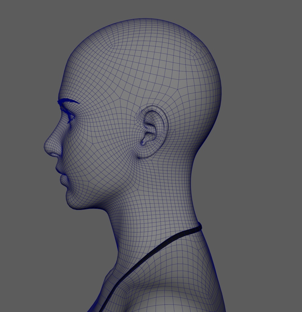 素体モデルデータ(女性)【商用】