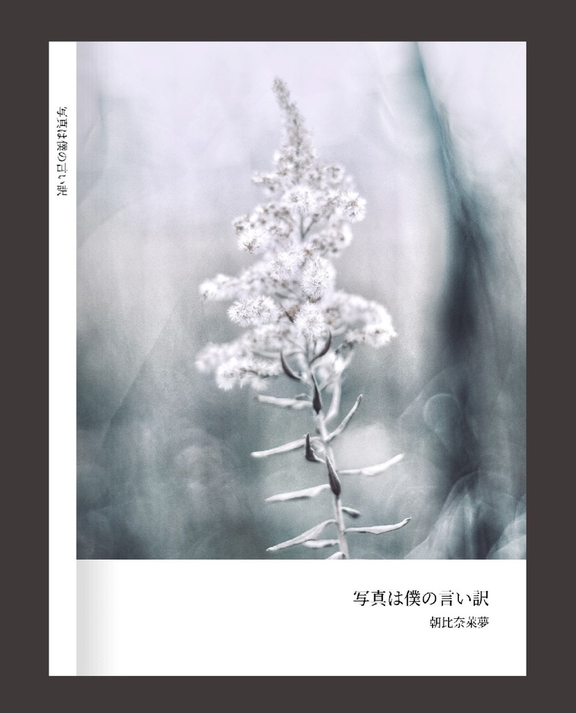 朝比奈萊夢1stフォトブック『写真は僕の言い訳』