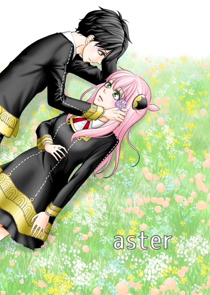 aster