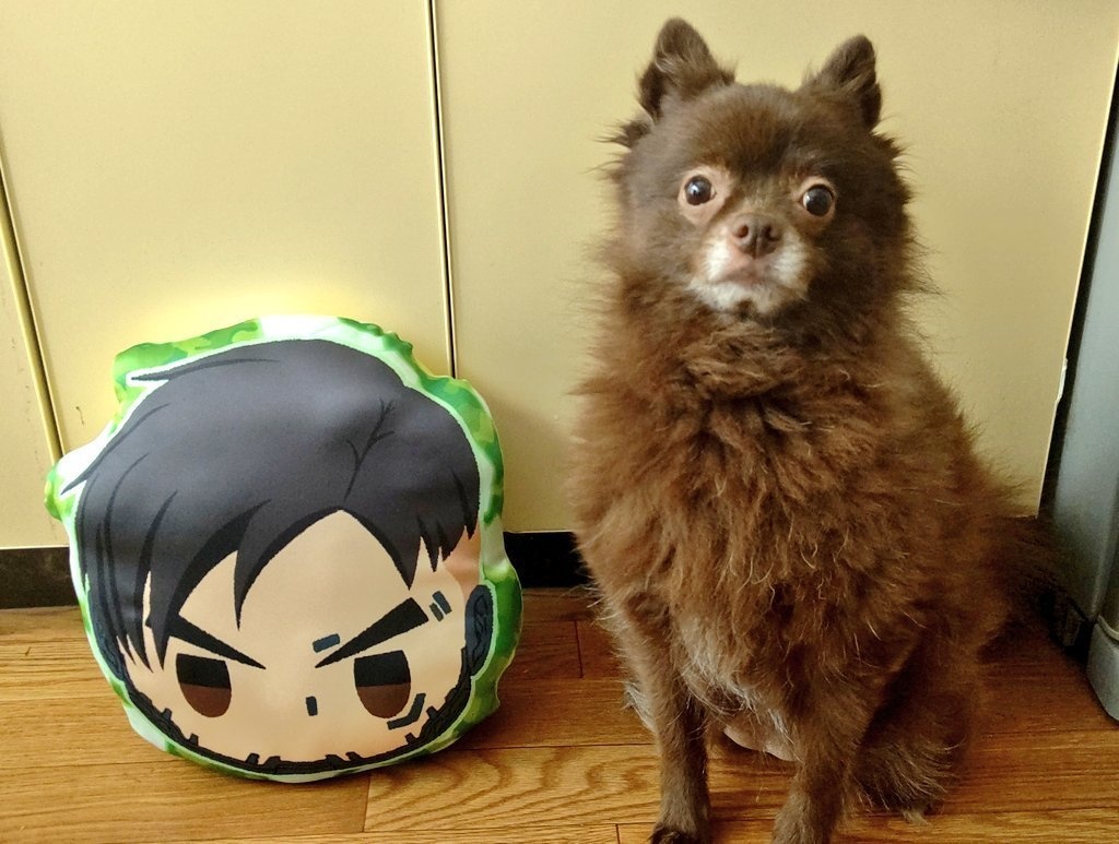 ビックサイズクッション【クリプト】