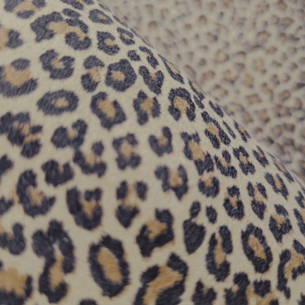 Leopard Camera