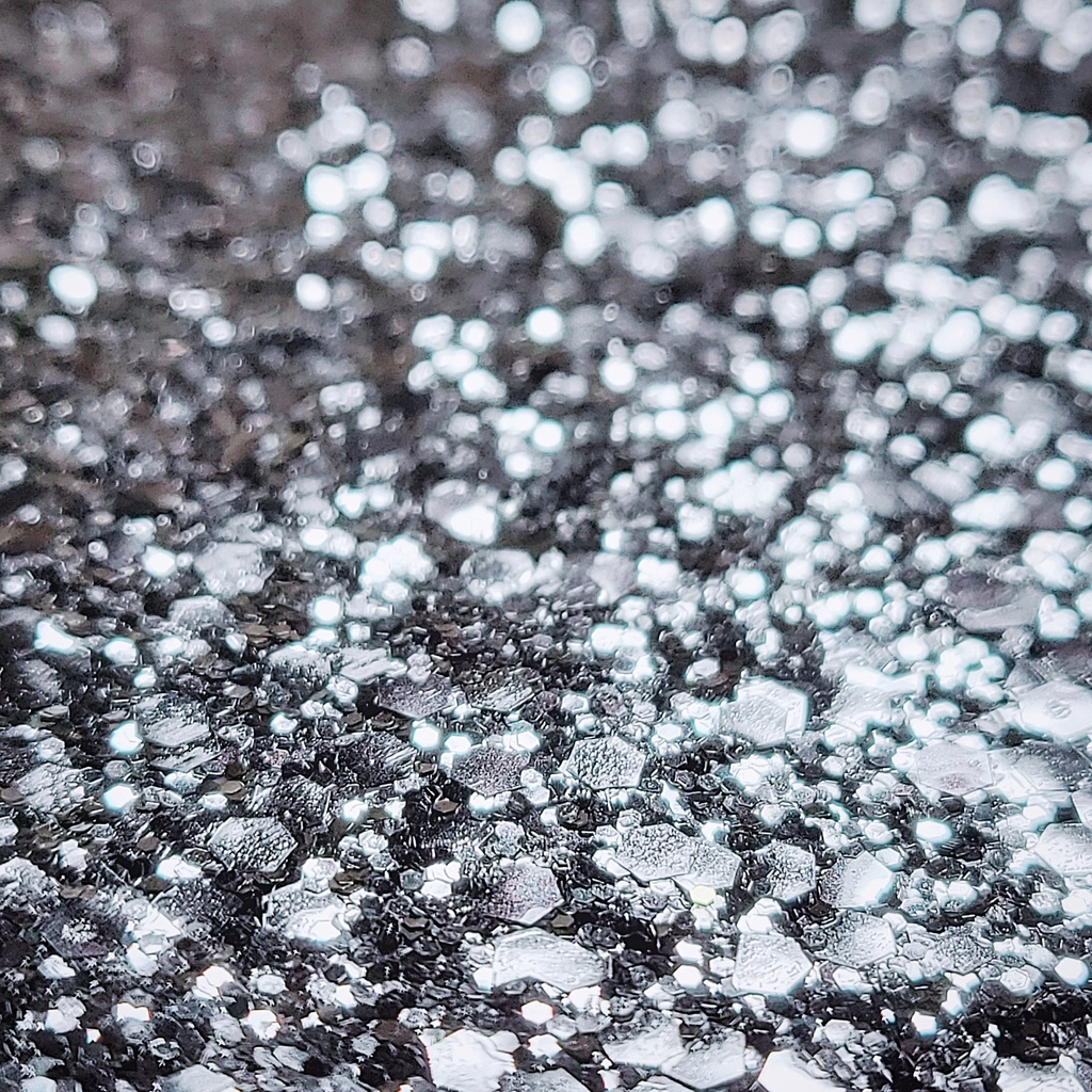 Nikukyu Sneakers ( Glitter )