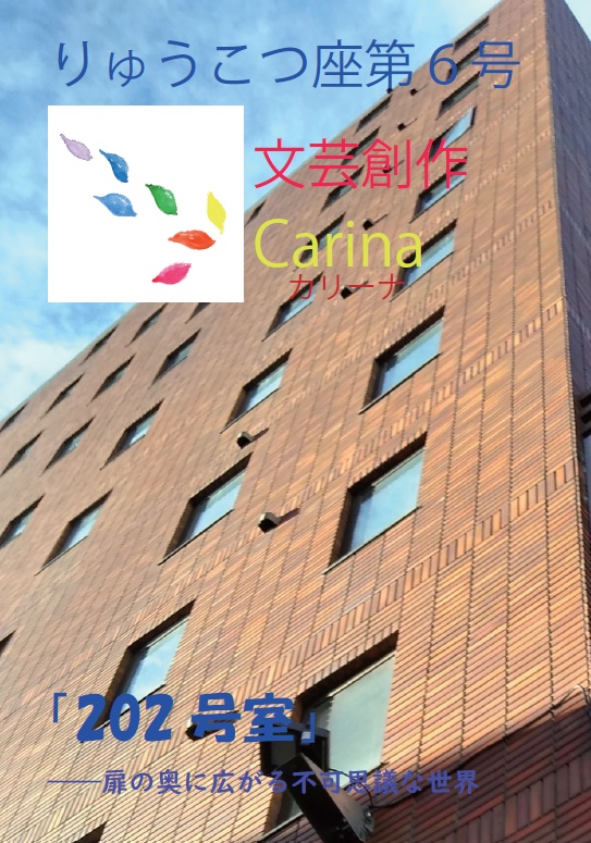 りゅうこつ座　第六号
