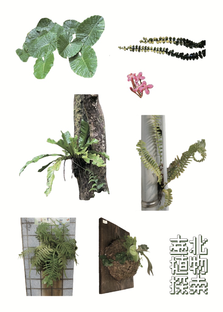 臺北植物土産ステッカー
