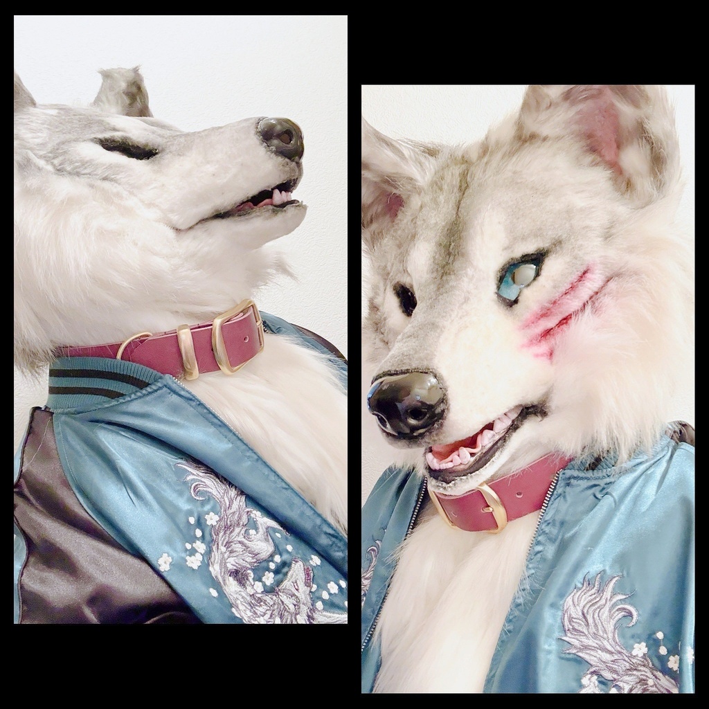 着ぐるみさんに!本革×真鍮の太め首輪