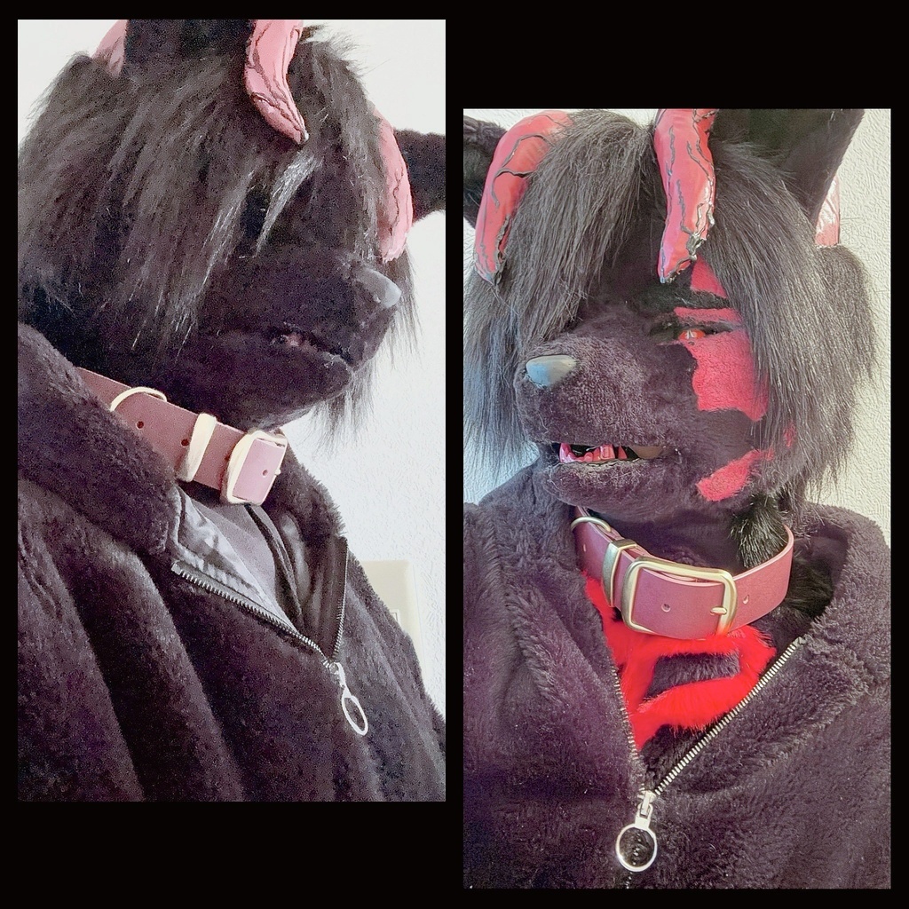 着ぐるみさんに!本革×真鍮の太め首輪