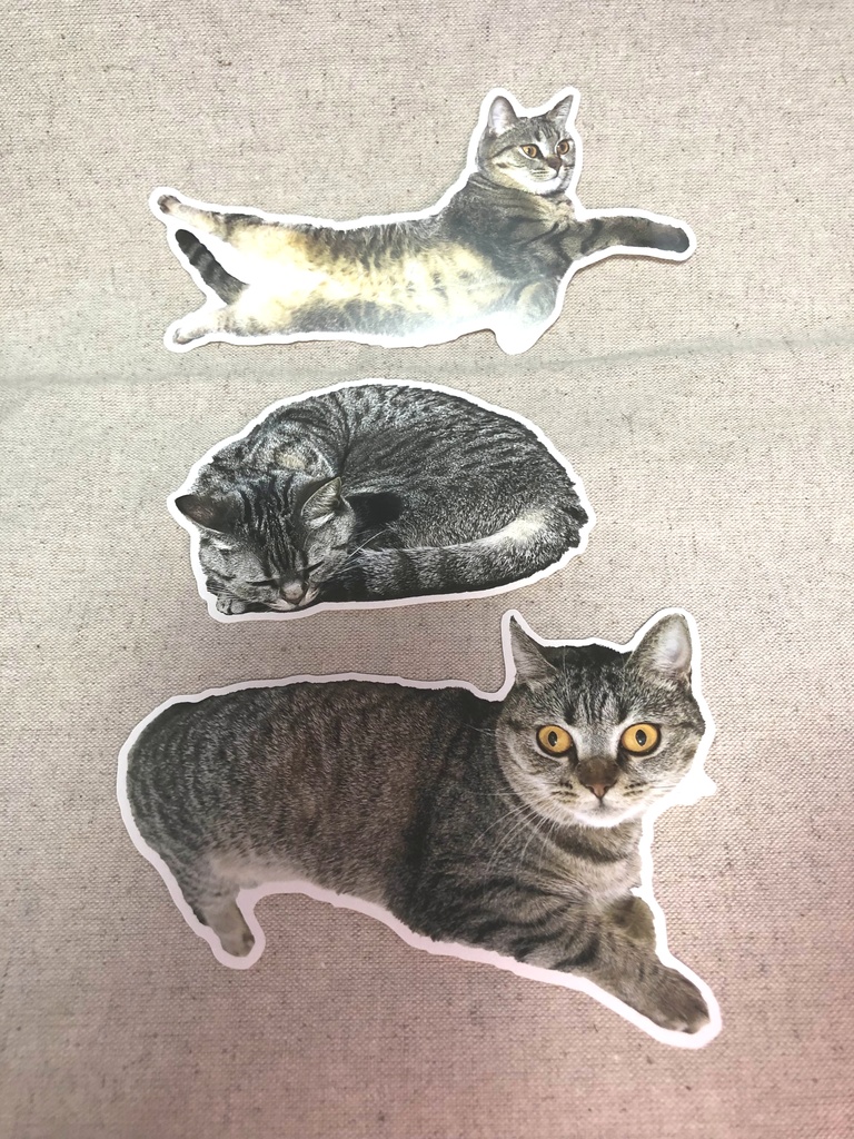 うちの猫ステッカー