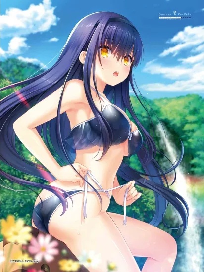 2024電気外毛布 特大モフモフ毛布 Summer Pockets EFLECTION BLUE 鴎