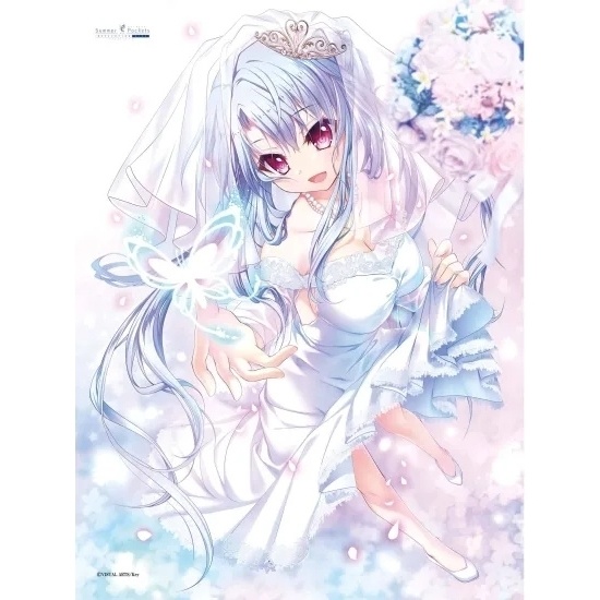 サマーポケッツ Summer Pockets 毛布 サマポケ 空門蒼 2023ver