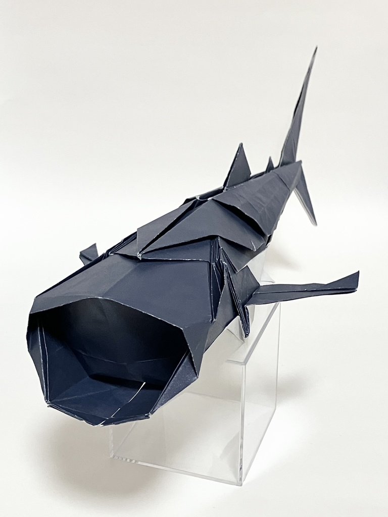 ジンベエザメ/Whale shark